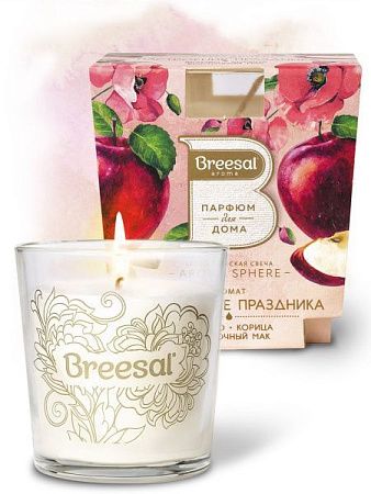 ✔️Breesal свеча aroma Sphere Настроение праздника 170гр - купить за  в г. Махачкале