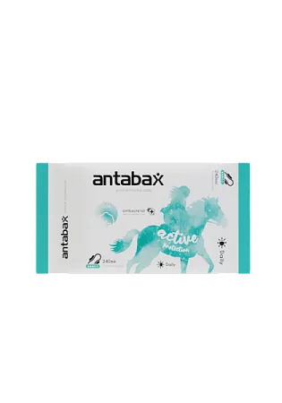 ✔️Antabax Прокладки 10шт Premium Activ/48 - купить за  в г. Махачкале